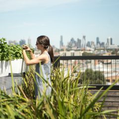 Simple Ways to Turn Your Balcony Into the Perfect Hangout Spot