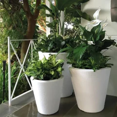 The Ultimate Guide to Using White Self-Watering Planters