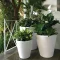 The Ultimate Guide to Using White Self-Watering Planters