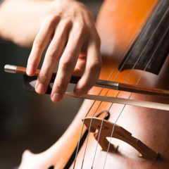 Find Your Musical Soulmate: How to Pick the Right Double Bass