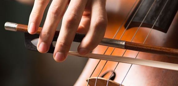 Find Your Musical Soulmate: How to Pick the Right Double Bass