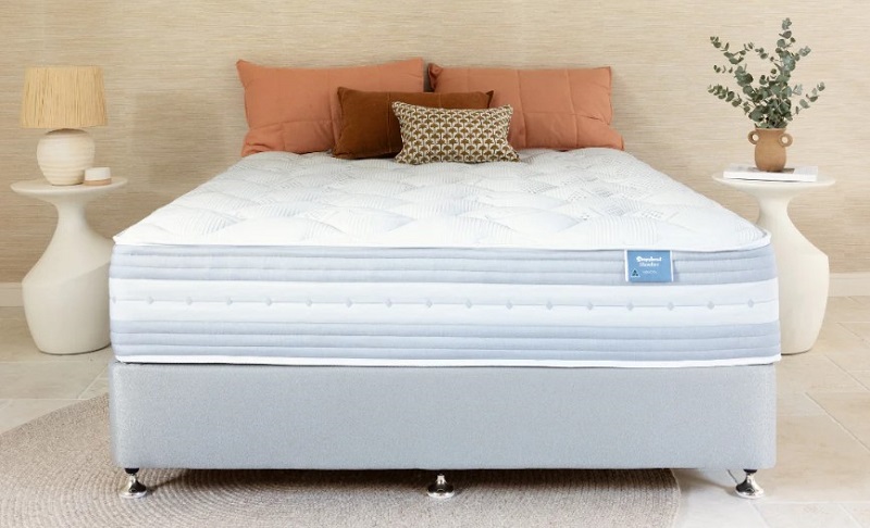 bed with quality king single mattresses 