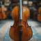 Everything You Need to Know Before Buying Your First Cello